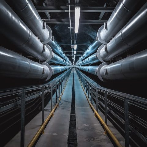 pexels-photo-3421636