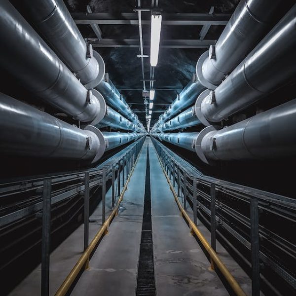 pexels-photo-3421636